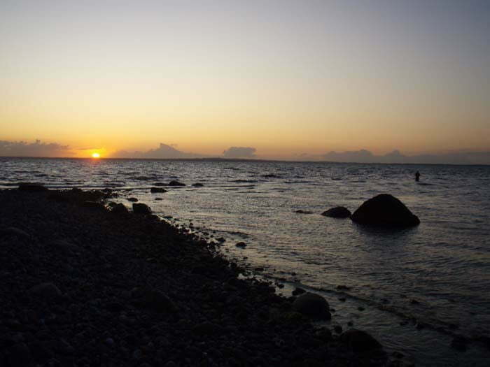 Sensommer Æbelø