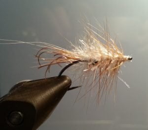 Final Shrimp variant