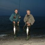 Trelde Klint vejle fjord fiskeri