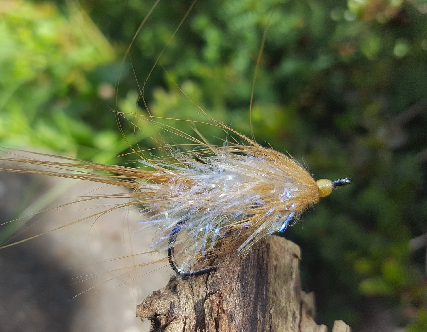 The Brown Shrimp fluebinding rejeflue