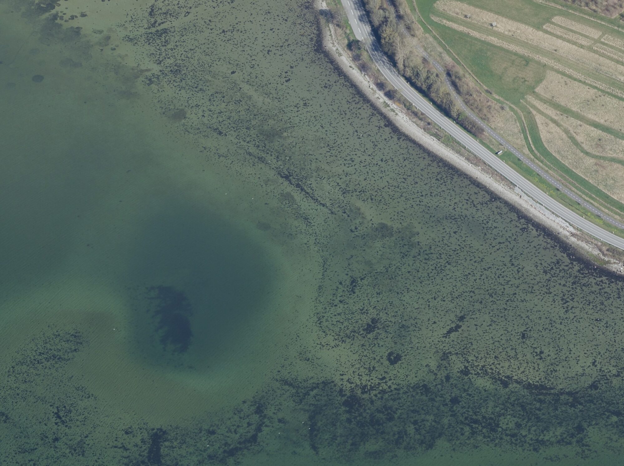 Egens Vig Kalø Vig Djursland fiskeri