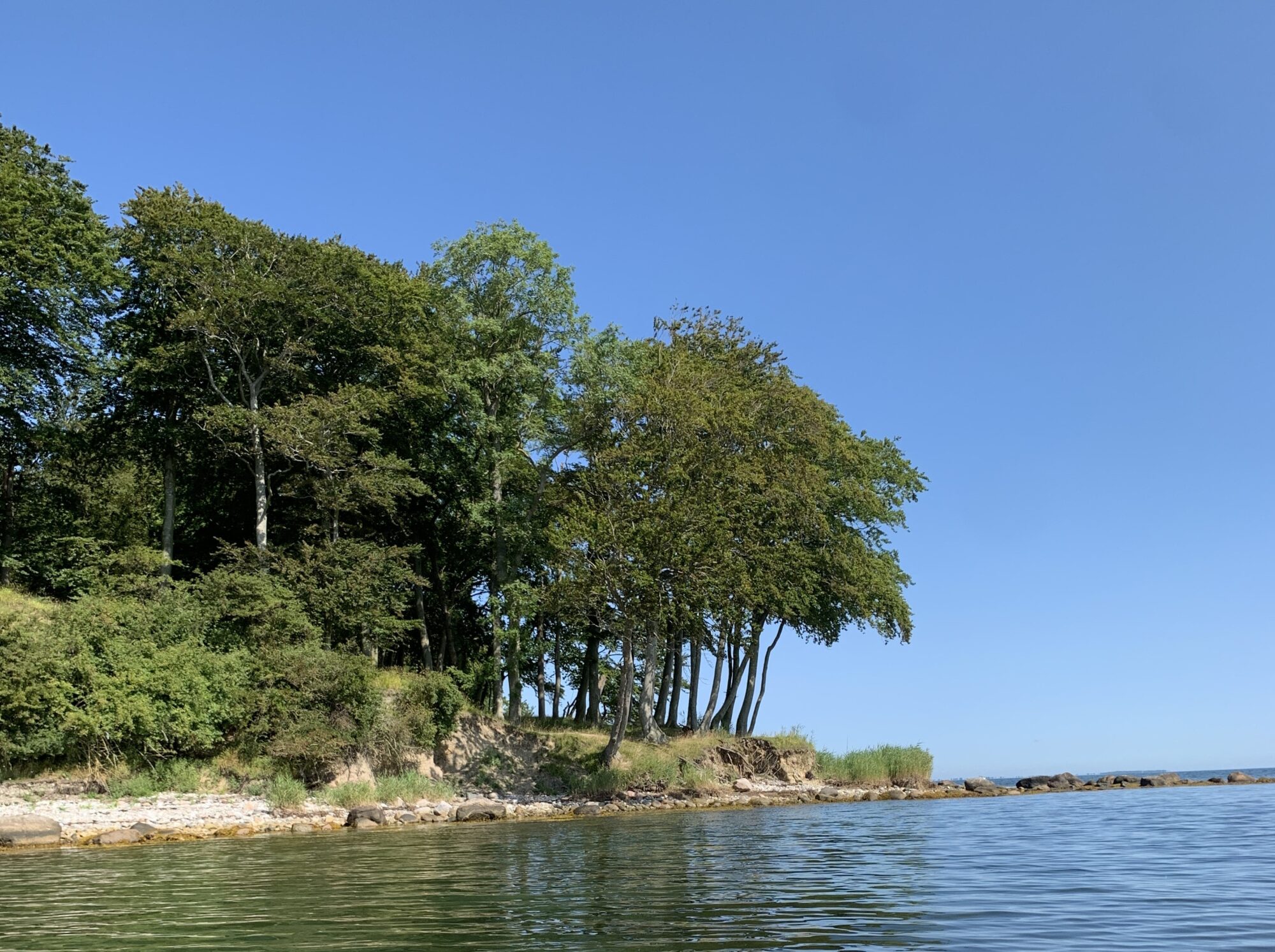 Æbelø, fiskeri, fluefiskeri, Æbelø vandstand, havkajak Æbelø, Tjørnehule