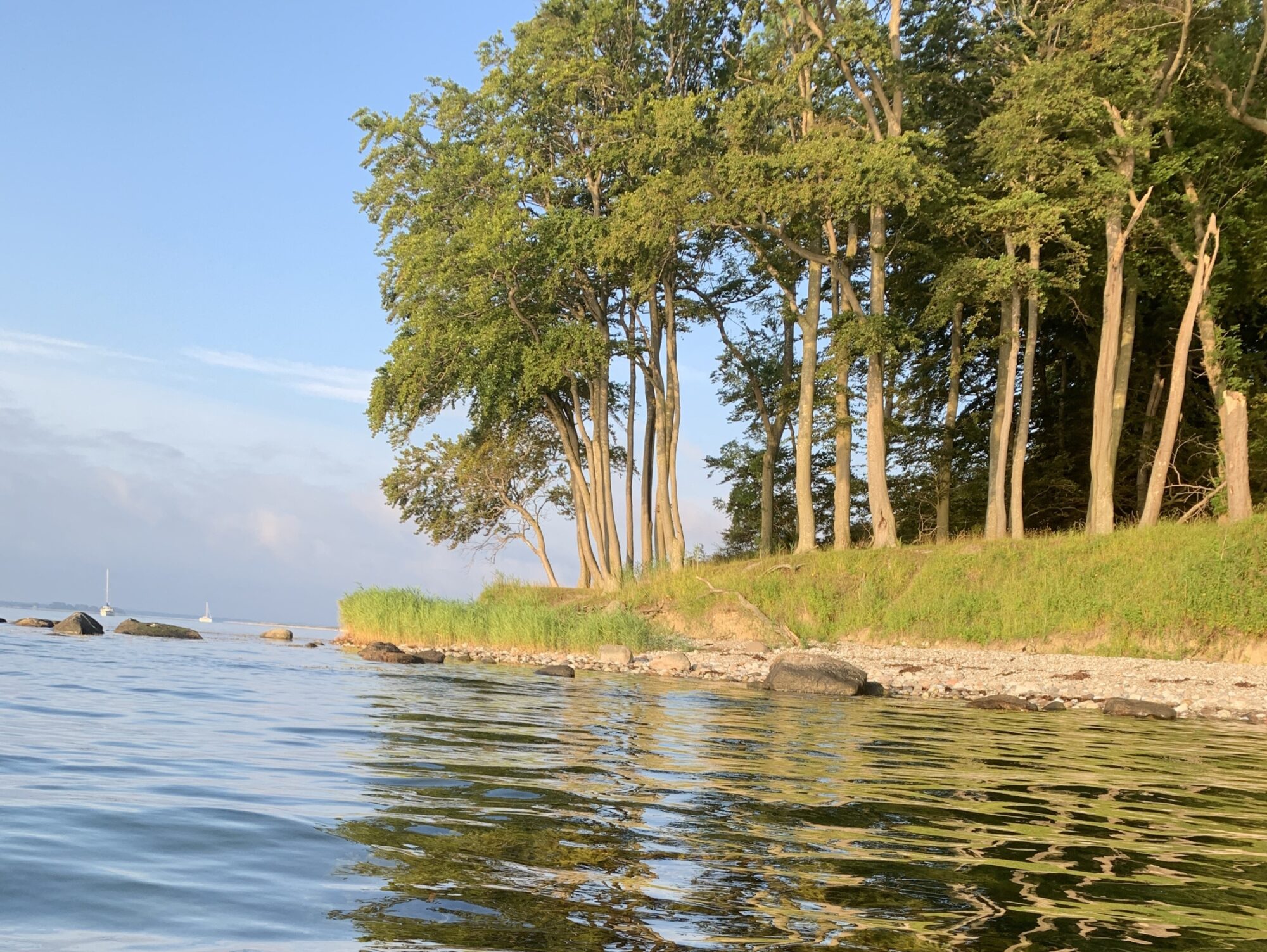 Æbelø, fiskeri, fluefiskeri, Æbelø vandstand, havkajak Æbelø