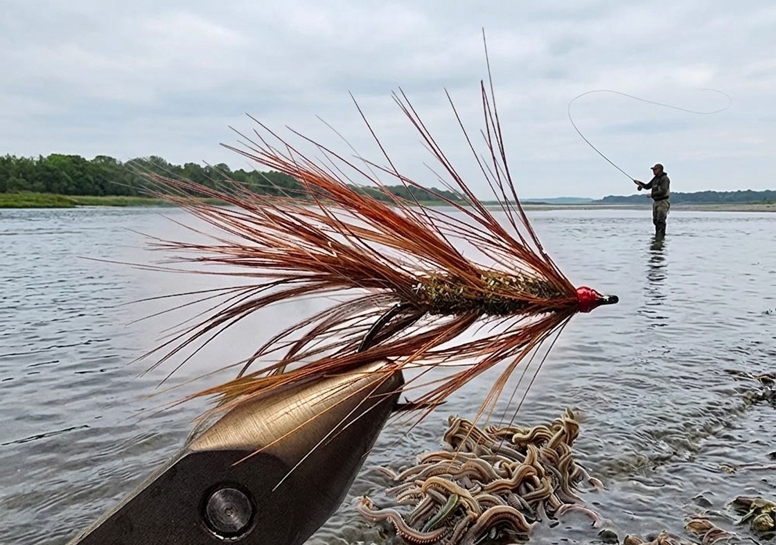 Omø Børsten variant